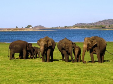 Sri Lanka At A Glance